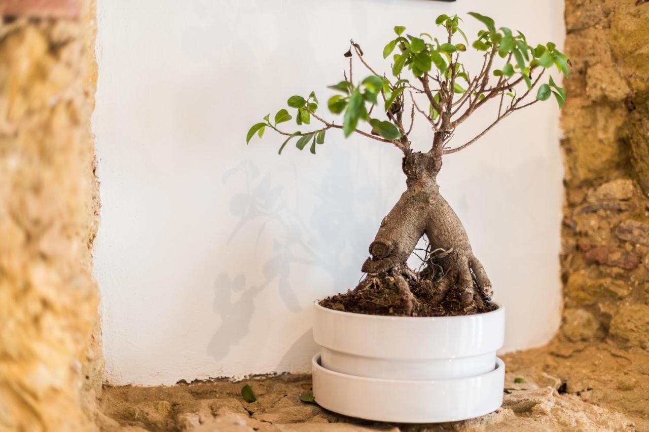 Alfama Design Villa Lizbona Zewnętrze zdjęcie